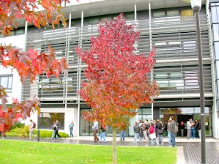 Warwick Mathematical Institute