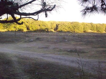 [100115-final_toboganes-web.jpg]