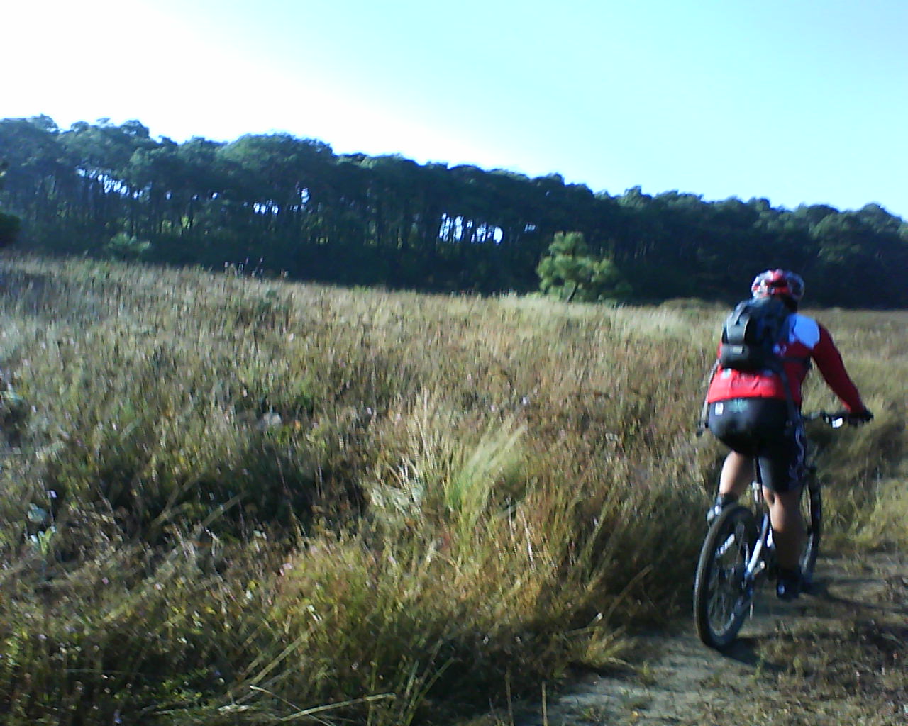 [081108-el_zeta_en_sliencio.JPG]