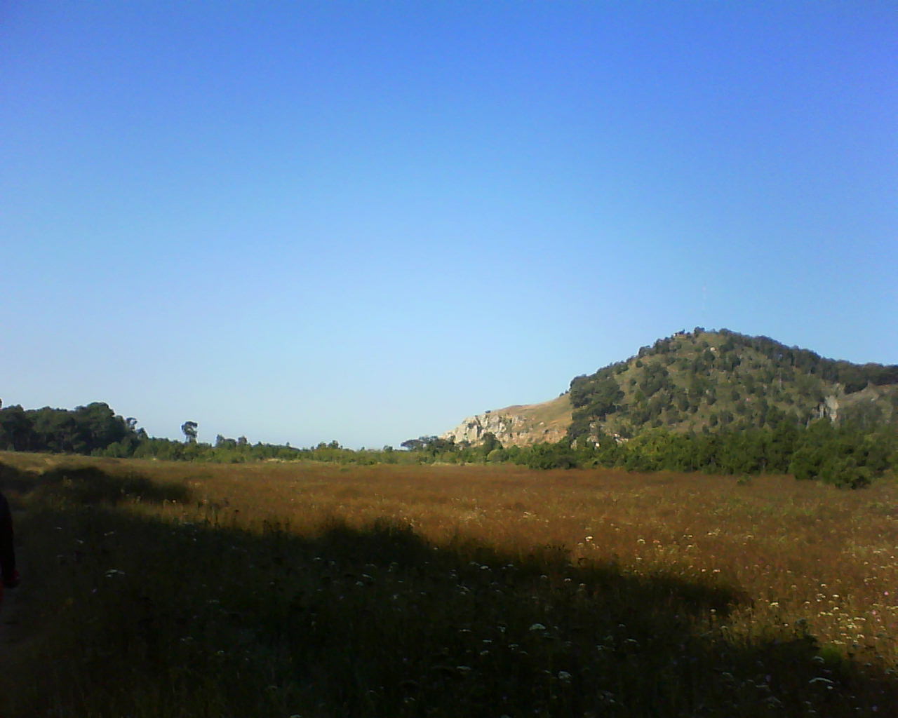 [081108-planillas.JPG]