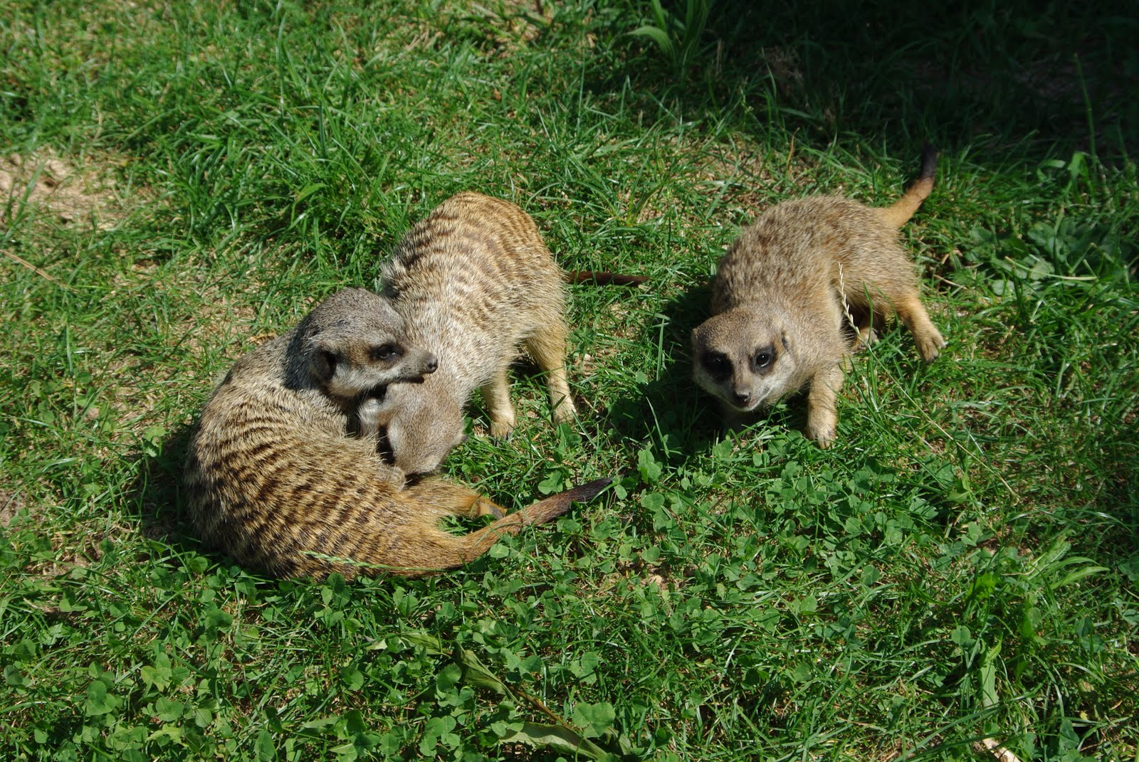 [IMGP3119.JPG]