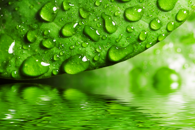 Water+drop+wallpaper