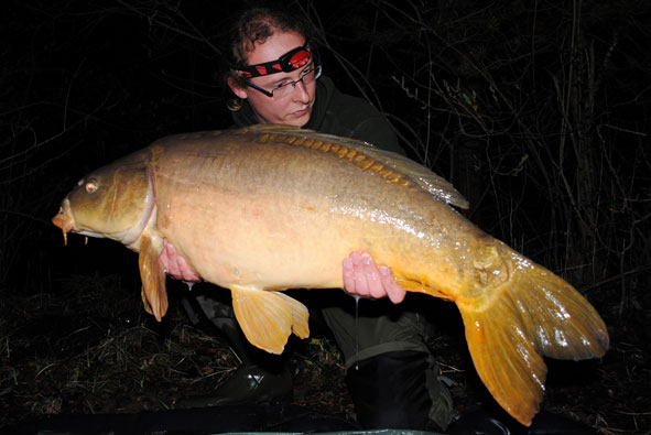 Angelforum • Thema anzeigen - Markante Fische