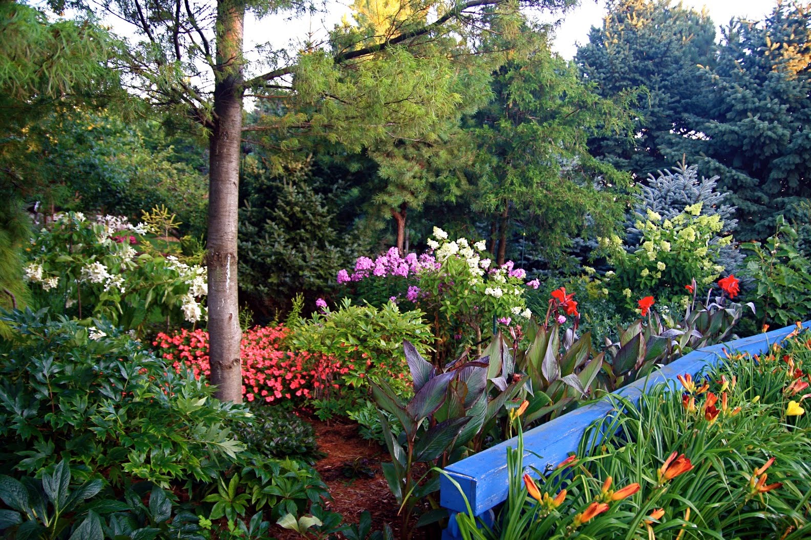 Conrad Art Glass & Gardens: Scenes from the late summer gardens...