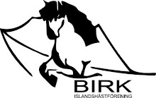 Birk Islandshästförening