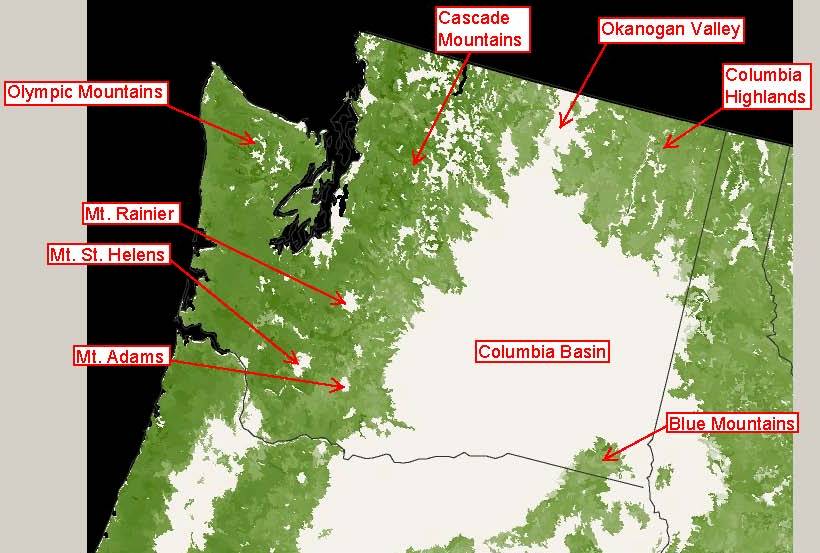 Reading the Washington Landscape Washington Forests Stand Tall
