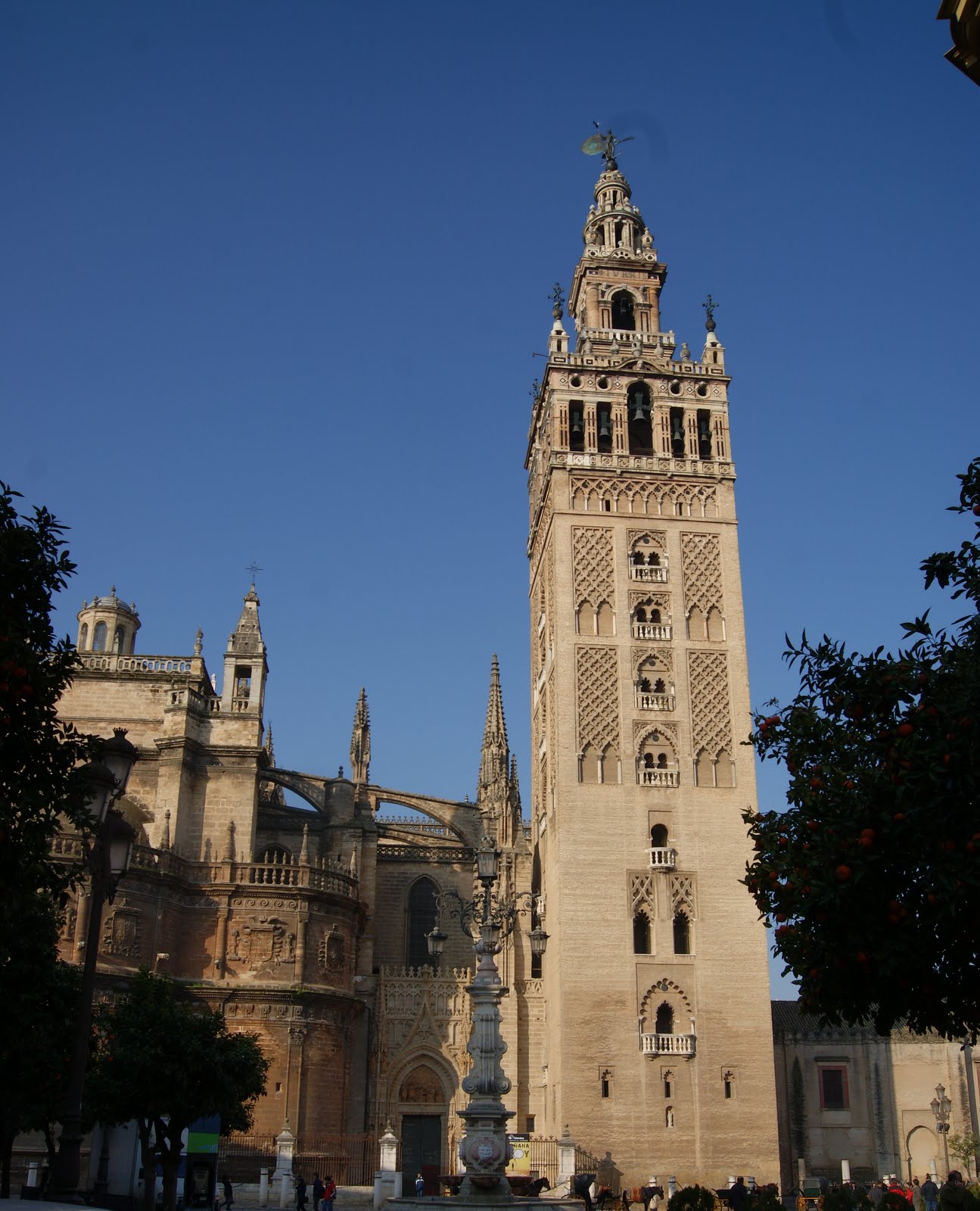 Pibón suelto por Sevilla