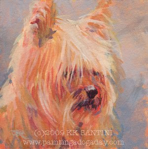 yorkie trim