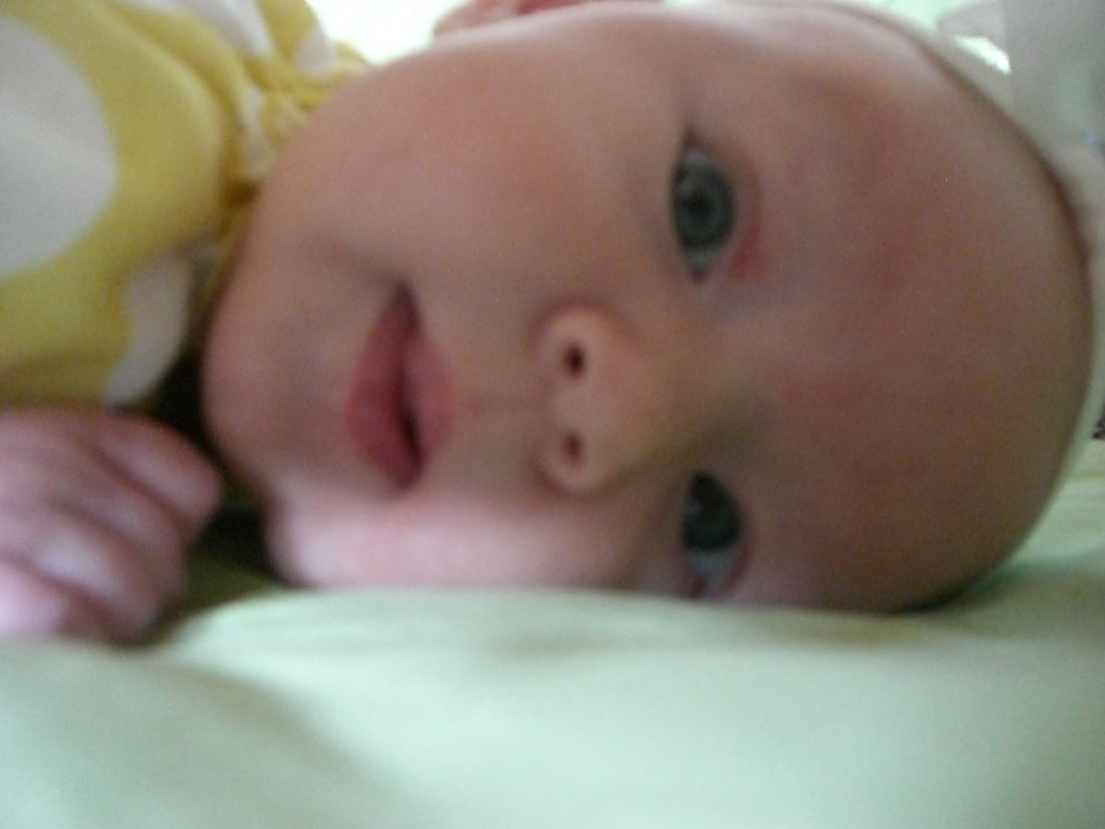 [Ava+easter+204.JPG]