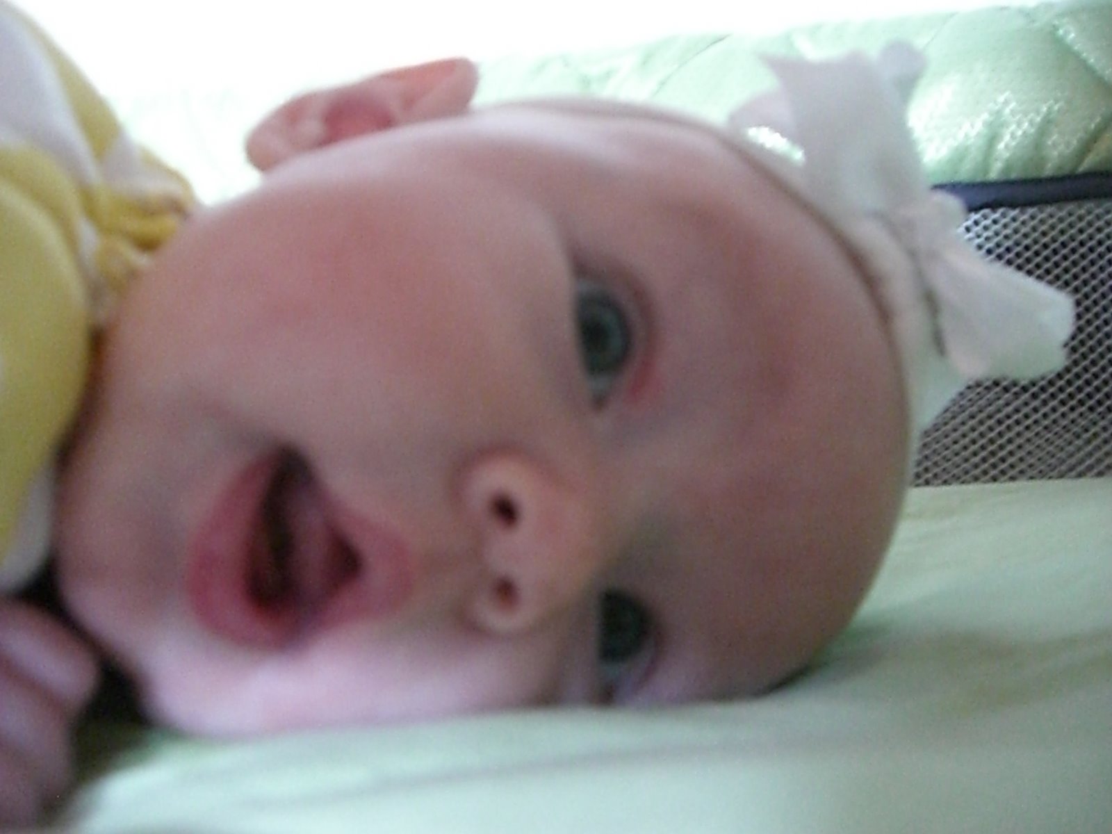 [Ava+easter+205.JPG]