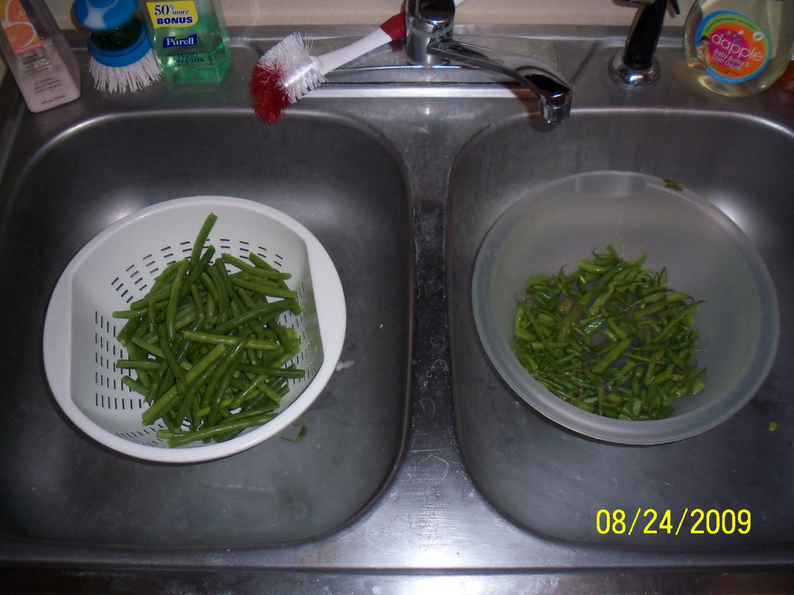 [Bigger+than+you++045.JPG]