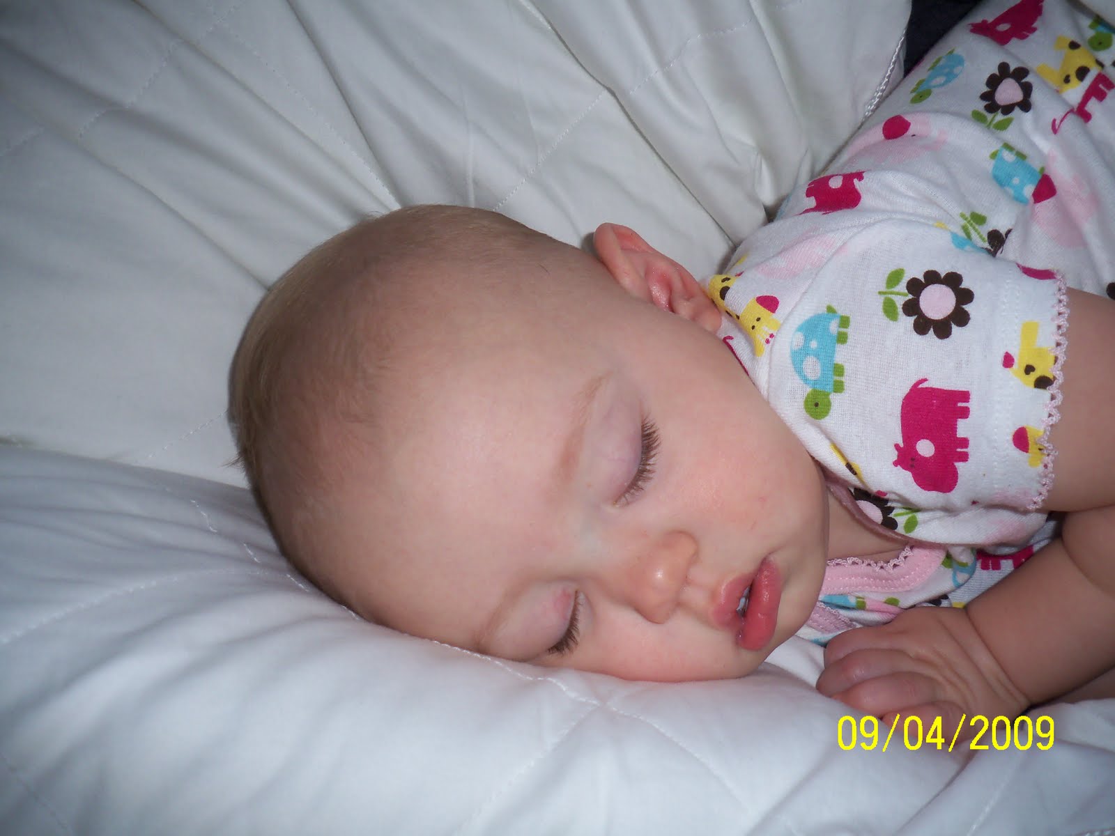 [september+09+006.JPG]