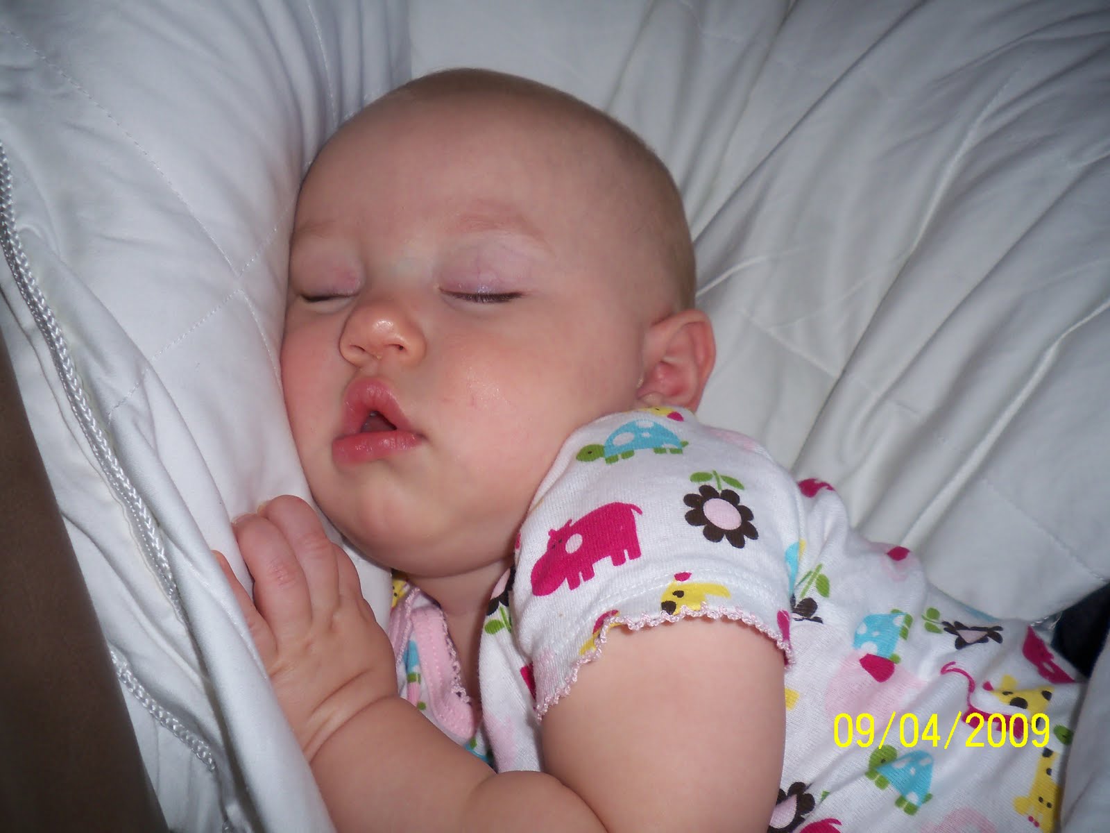 [september+09+003.JPG]