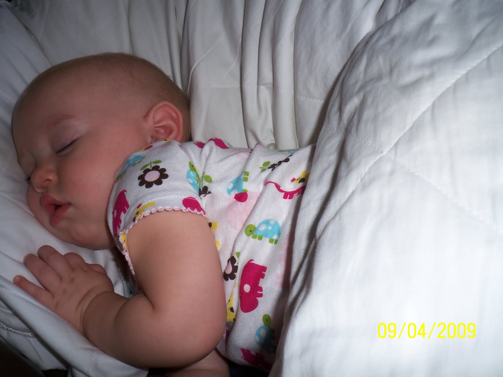 [september+09+004.JPG]