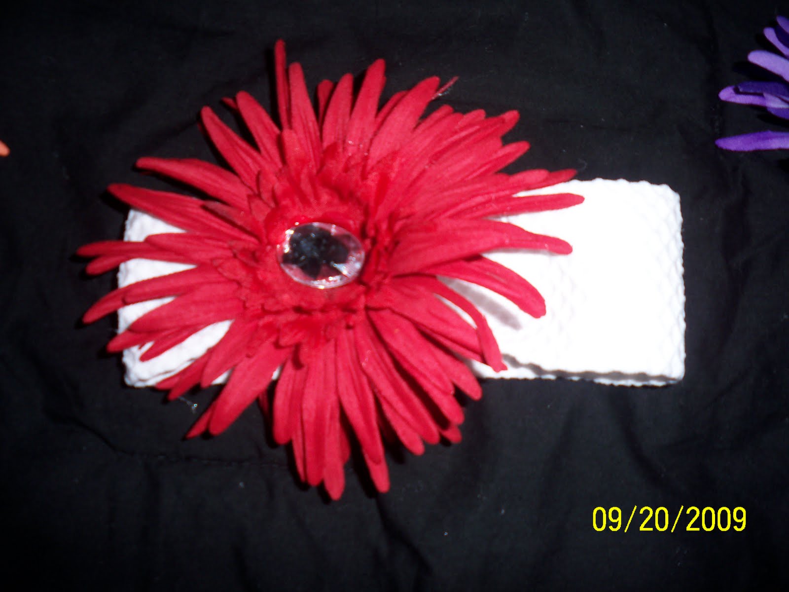 [cowboys+and+hairbows+083.JPG]