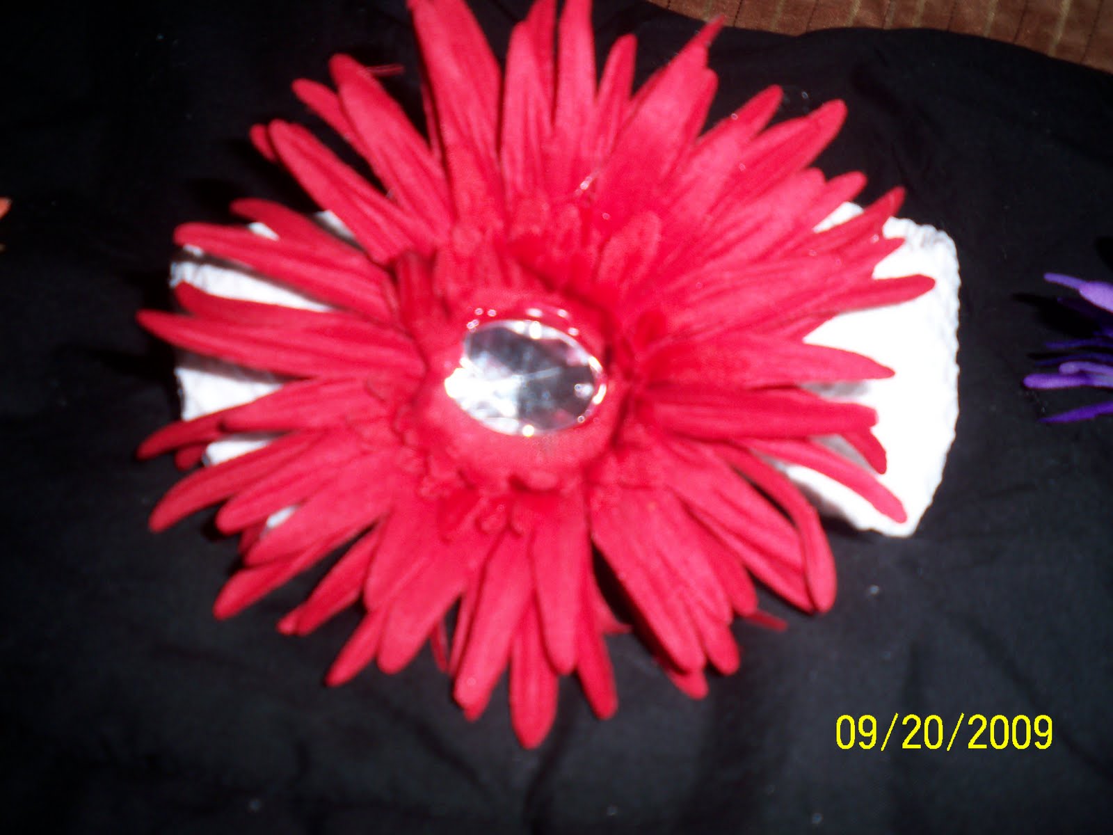 [cowboys+and+hairbows+082.JPG]