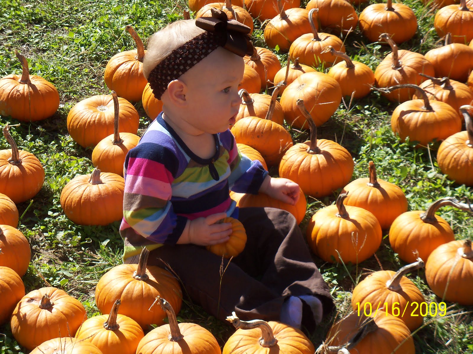 [Pumpkin+Patch+09+056.JPG]