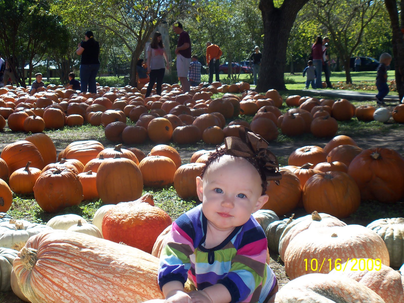 [Pumpkin+Patch+09+037.JPG]