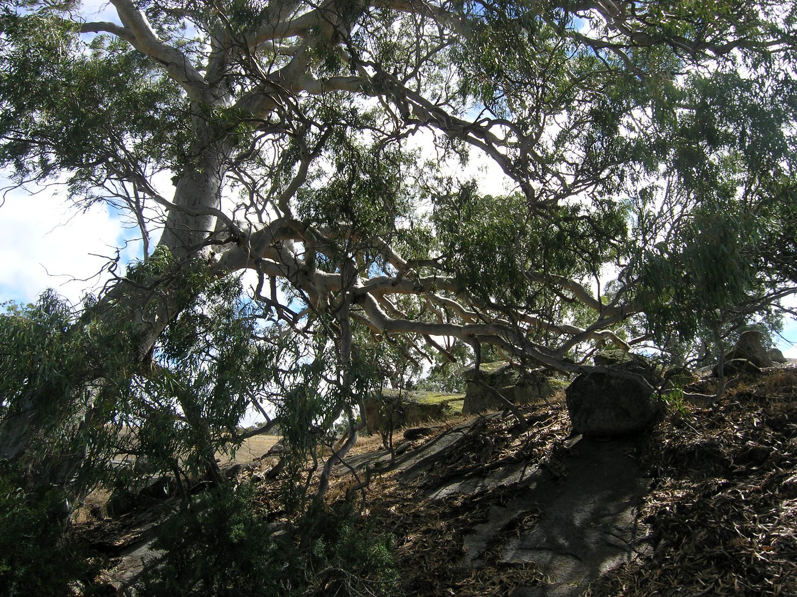 [PC220315.JPG]