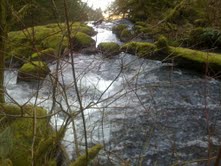 Very top of waterfall, another amazing view in Oregon...