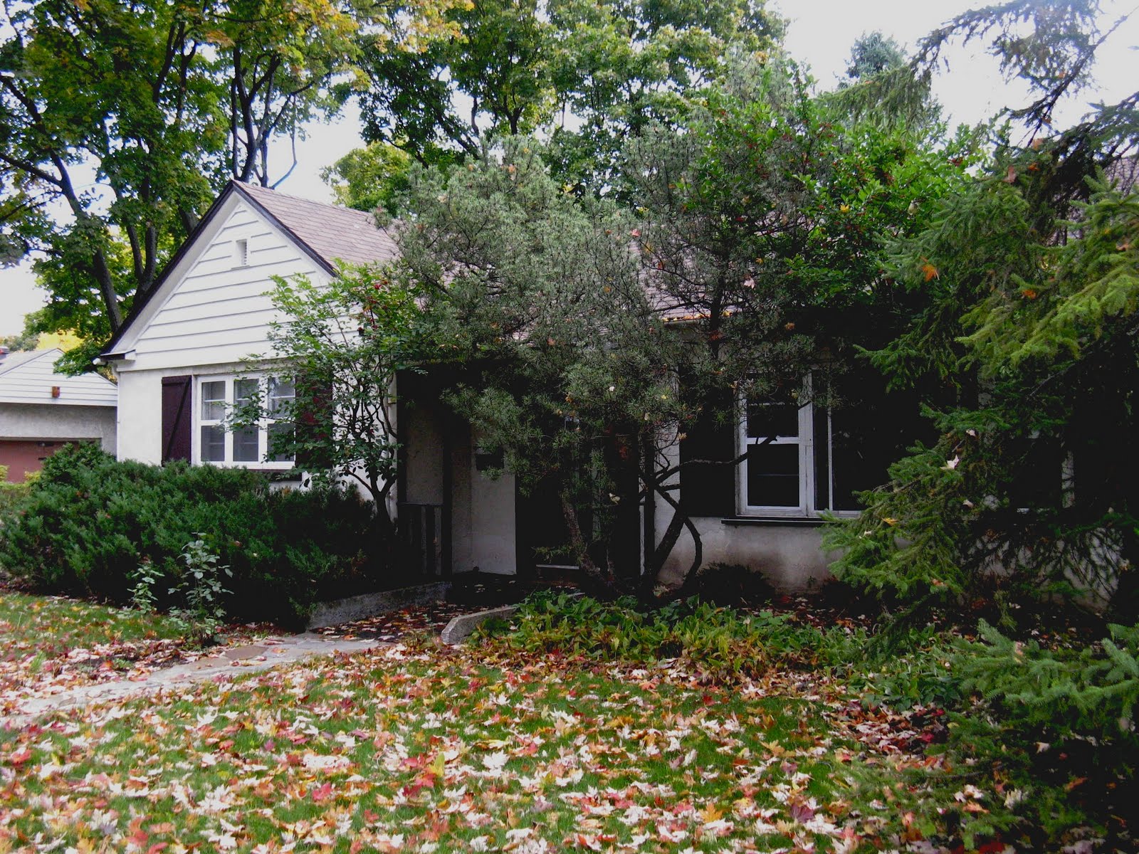 MontReal Estate Just Listed in TMR