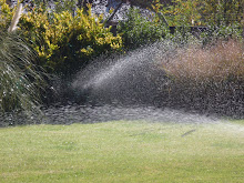 Riego I Vivero Las Cortaderas