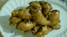 Elephant Ginger