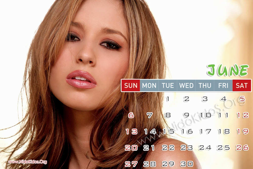 Tech in fun Shay Lauren Calendar 2010