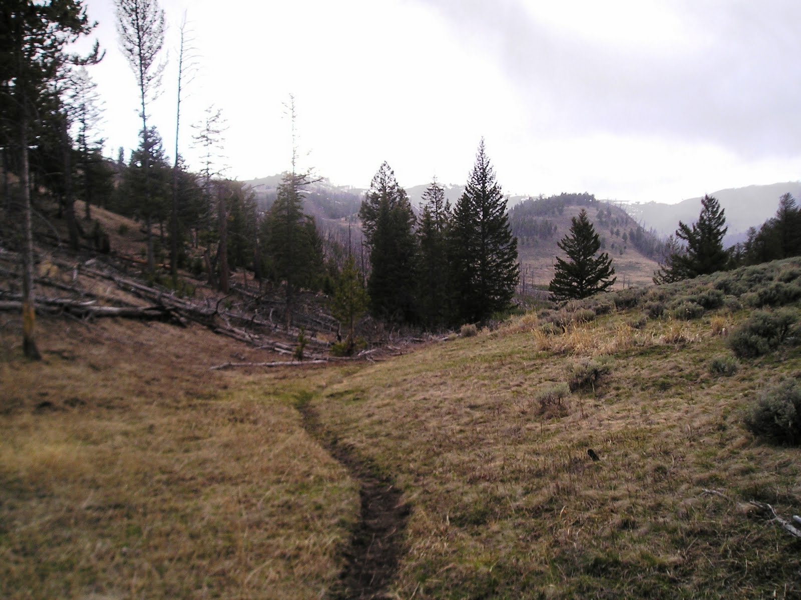 lost lake loop yellowstone
