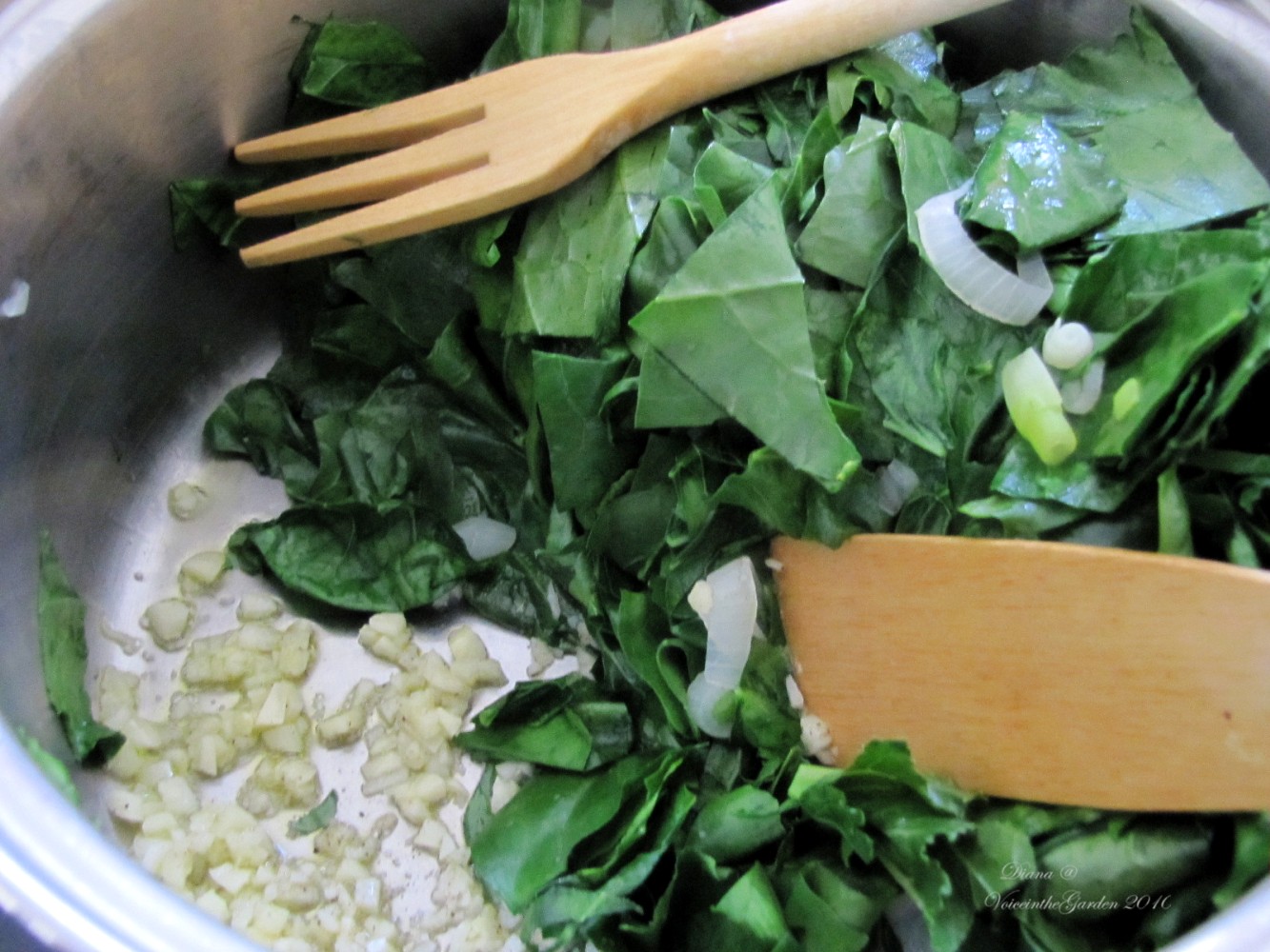 Kohlrabi+leaves