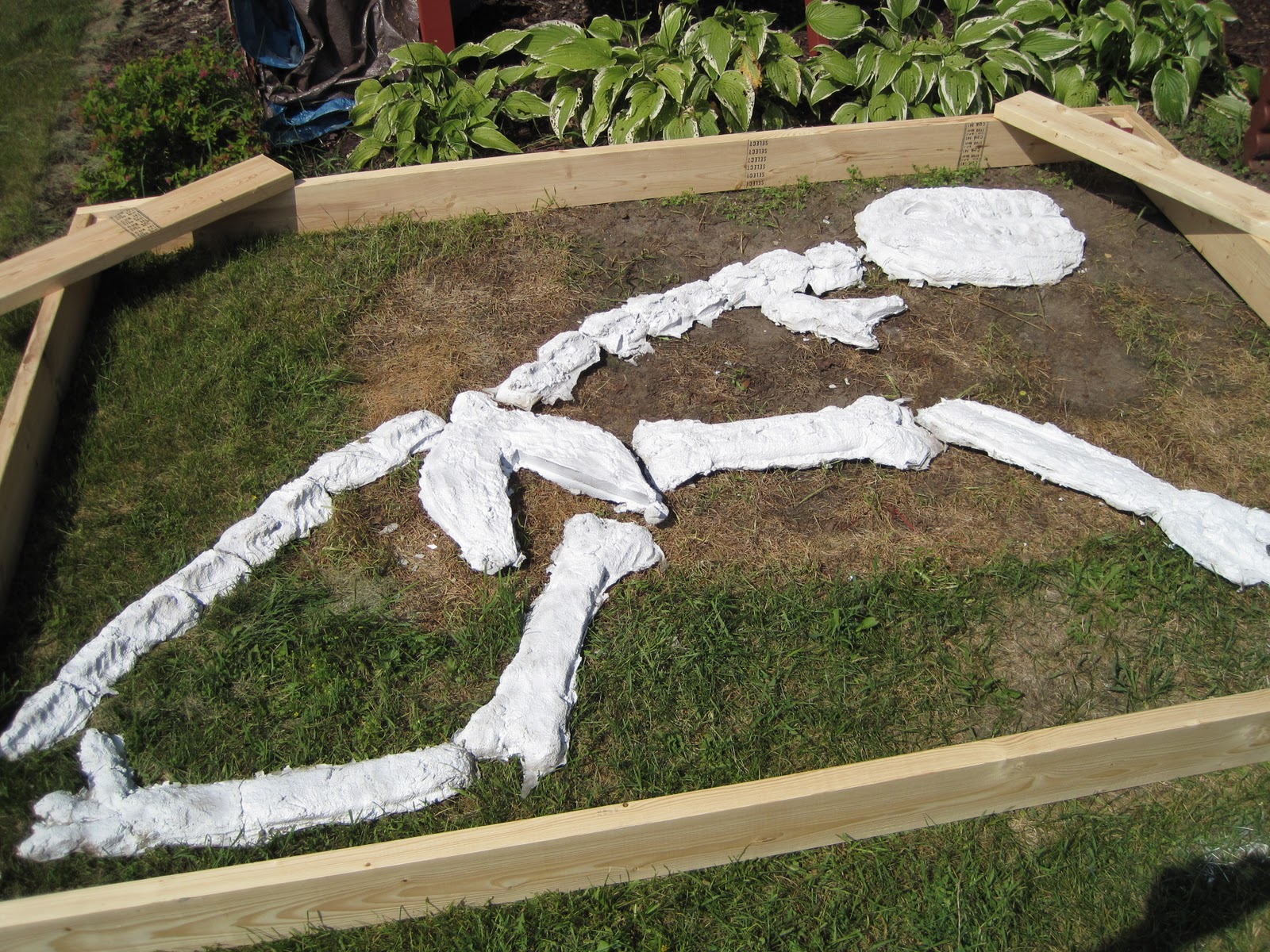 Dinosaur Sandbox