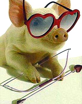 [san_valentino_porco.jpg]