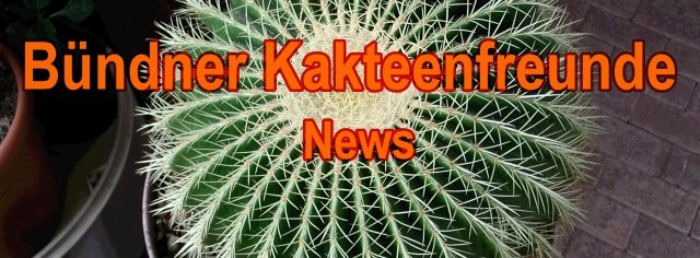 kaktus-gr-news - News