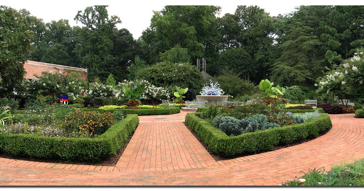 Daily Classic: Office Outing