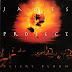 THE JAMES PROJECT - Desert Bloom (1996)
