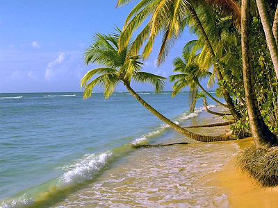 Beach HD - Beach, HD, High Quality, Nature, Sand Sea and beach wallpaper