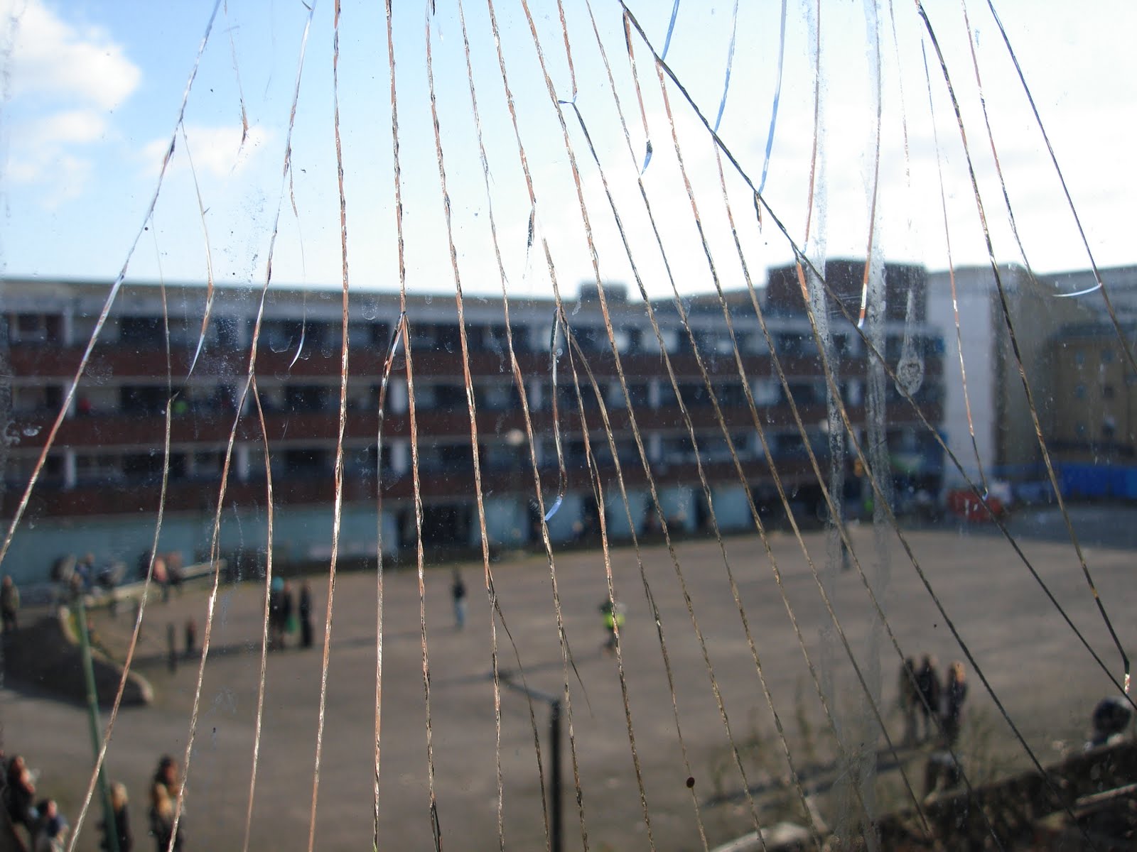 [DSC00478.JPG]