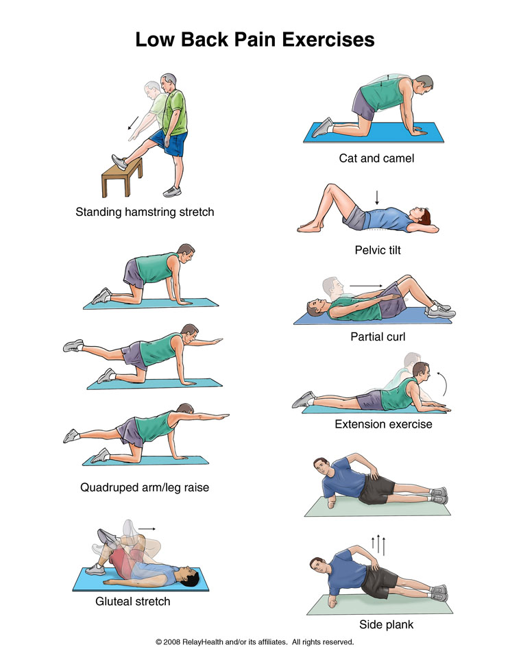 exercises guide lower back pain