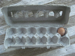 egg-o-matic count-o-meter