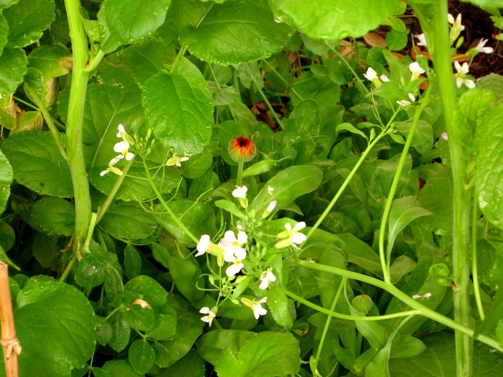 [IMG_5043.JPG]