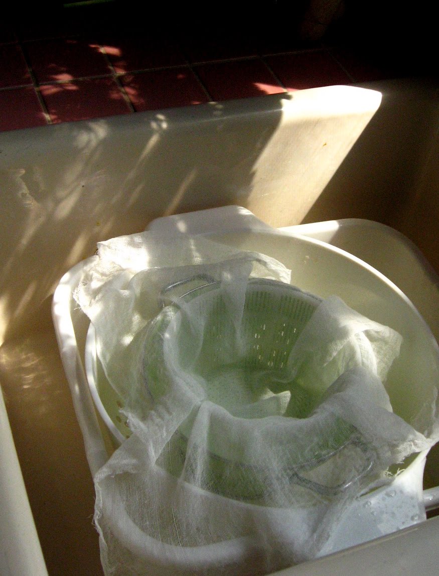 [IMG_5851.JPG]