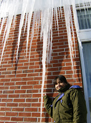 ICICLES