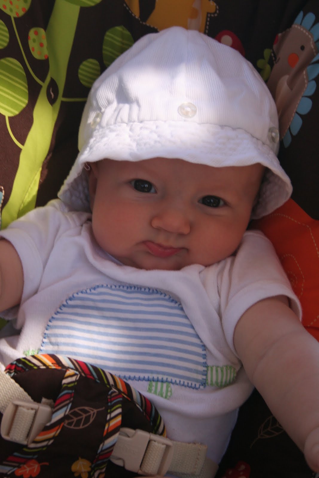 [IMG_9273.JPG]