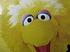 Me - The Big Bird in these parts