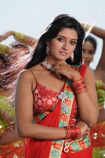 Vimala Raman Hot in Saree