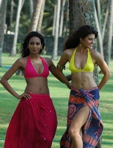 Aladin Movie Actress Jacqueline Fernandes Hot Photos