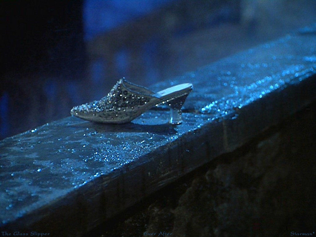 [slipper.jpg]