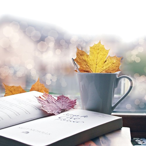 [autumnbook,fall,feeling,leaf,mug,autumn-cf615383f1dd4e44bfad61a9131a0397_h.jpg]