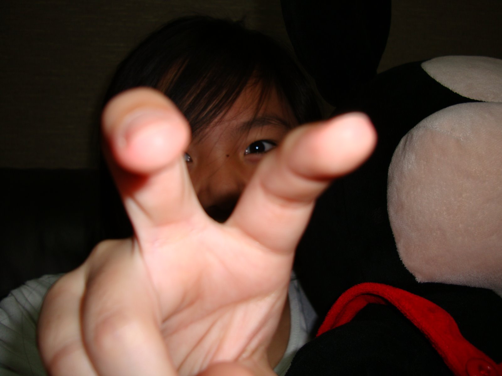 [DSC00012.JPG]