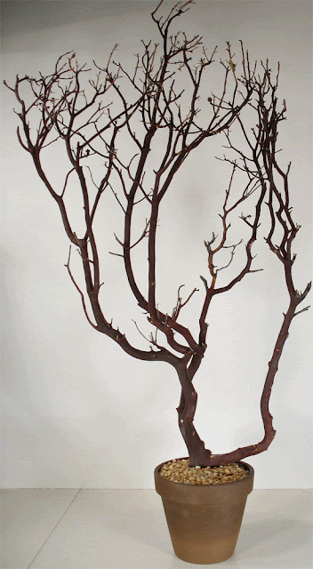 Manzanita Tree Wedding Decorations Manzanita Tree Wedding Decorations
